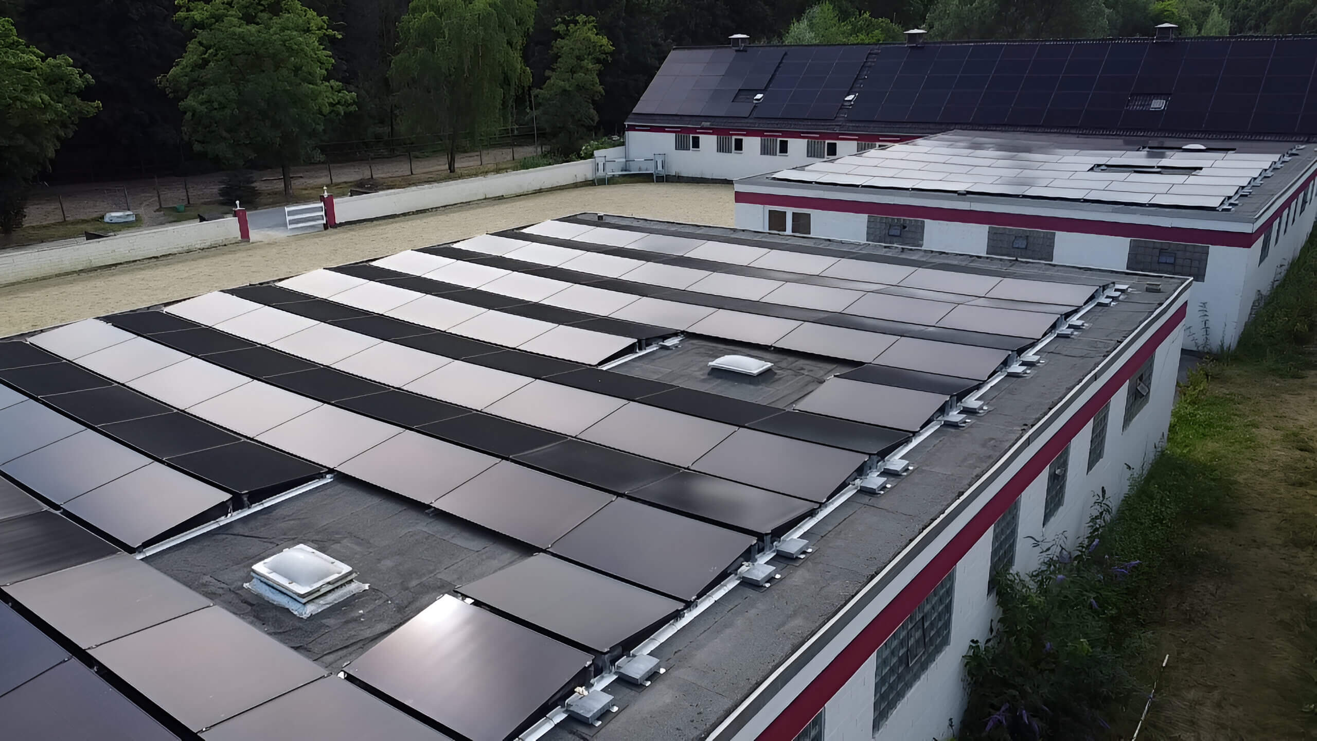 Solarmodule im Sonnenlicht